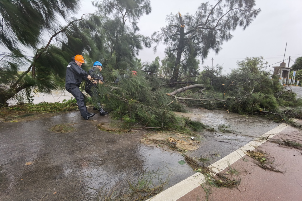 00300834145_a187223f.png 00300834145_a187223f.png