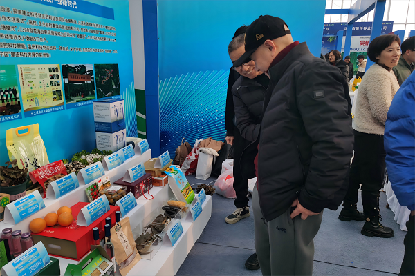 ÍøÕ¾.png ÍøÕ¾.png